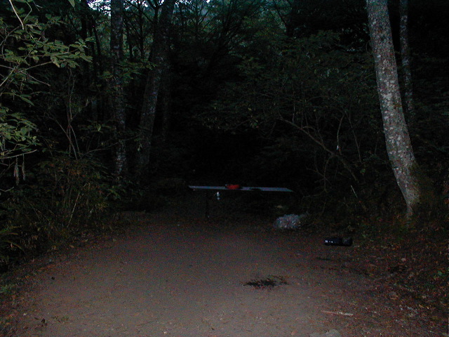 PIC00038